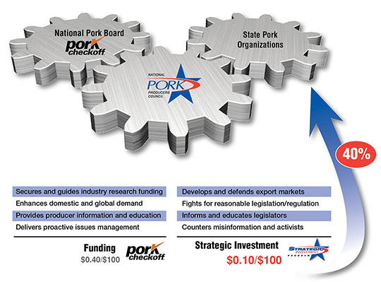 Checkoff vs Association